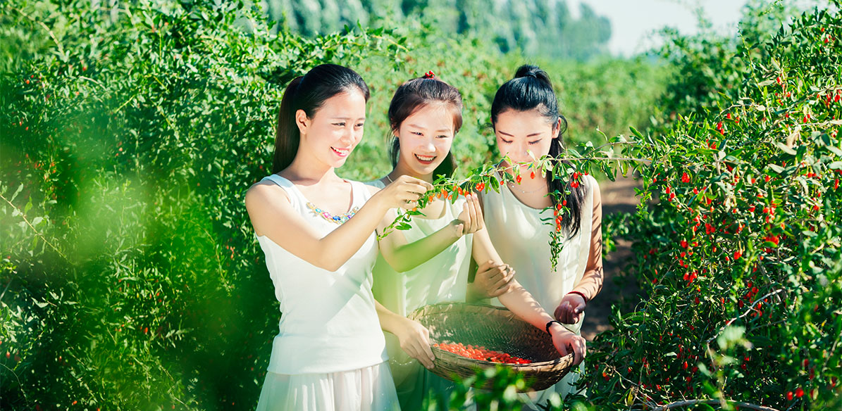 首页| 28圈游戏集团官方网站