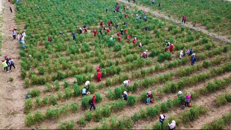 首页| 28圈游戏集团官方网站