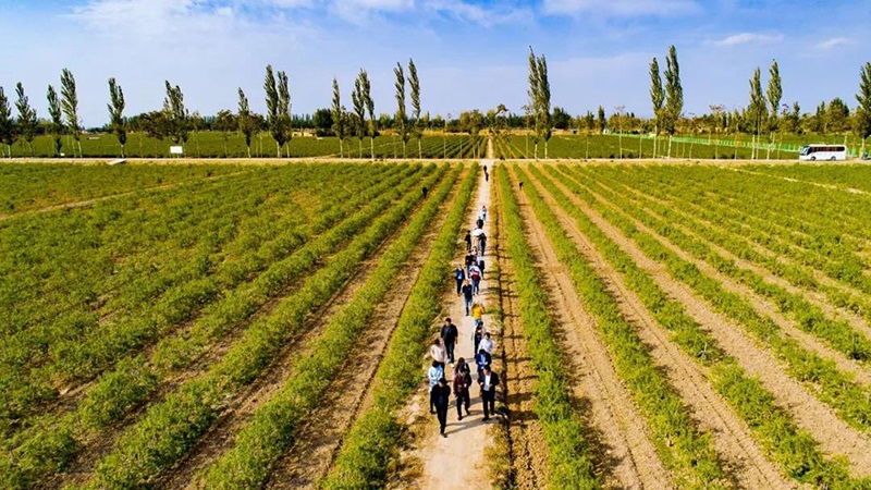 首页| 28圈游戏集团官方网站