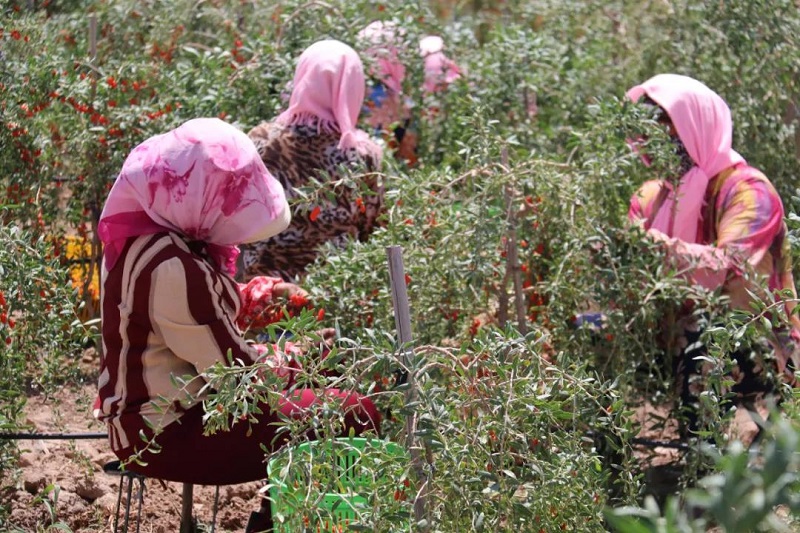 首页| 28圈游戏集团官方网站