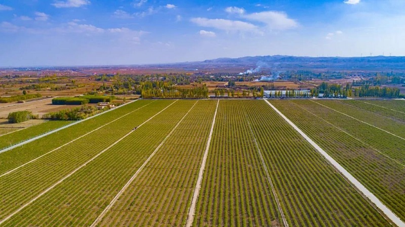 首页| 28圈游戏集团官方网站