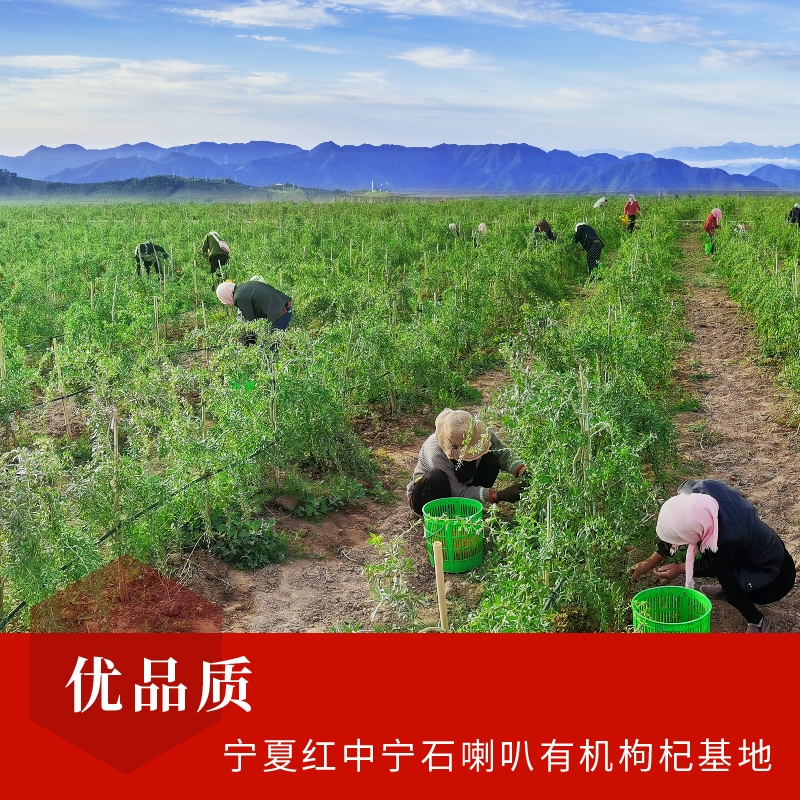 首页| 28圈游戏集团官方网站