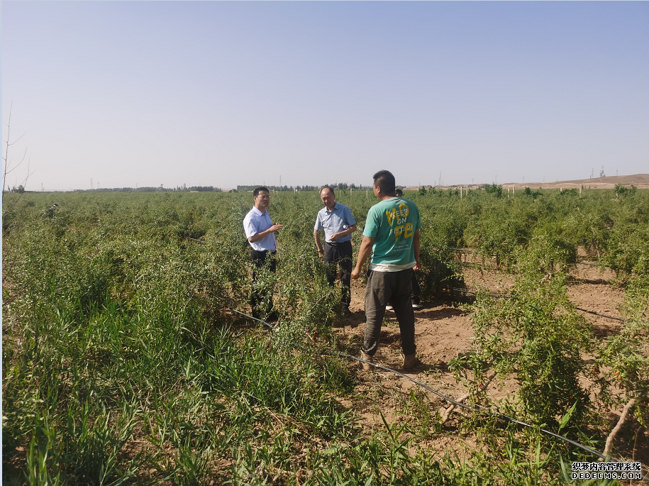 首页| 28圈游戏集团官方网站