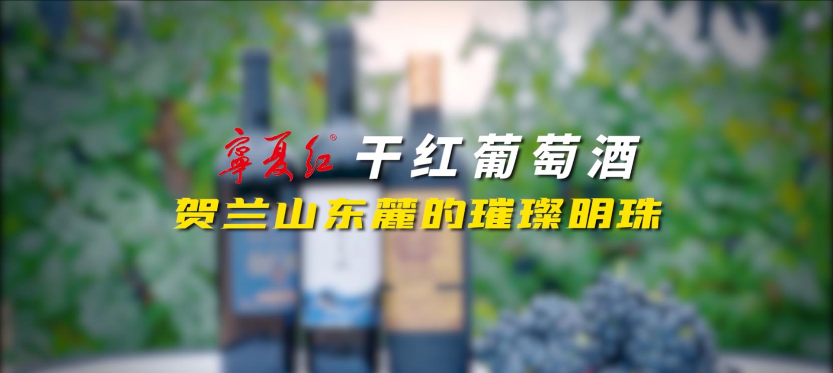 28圈干红葡萄酒系列